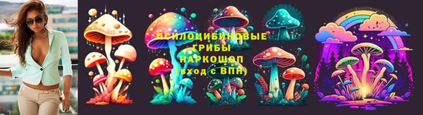 амф Вязьма