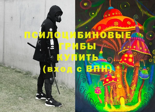 амф Вязьма