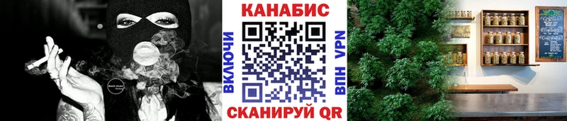 купить наркотики цена  Злынка  Бошки марихуана OG Kush 